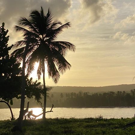 Yes Papa! Rooms Only 100M From The Beach! Las Galeras Exterior foto