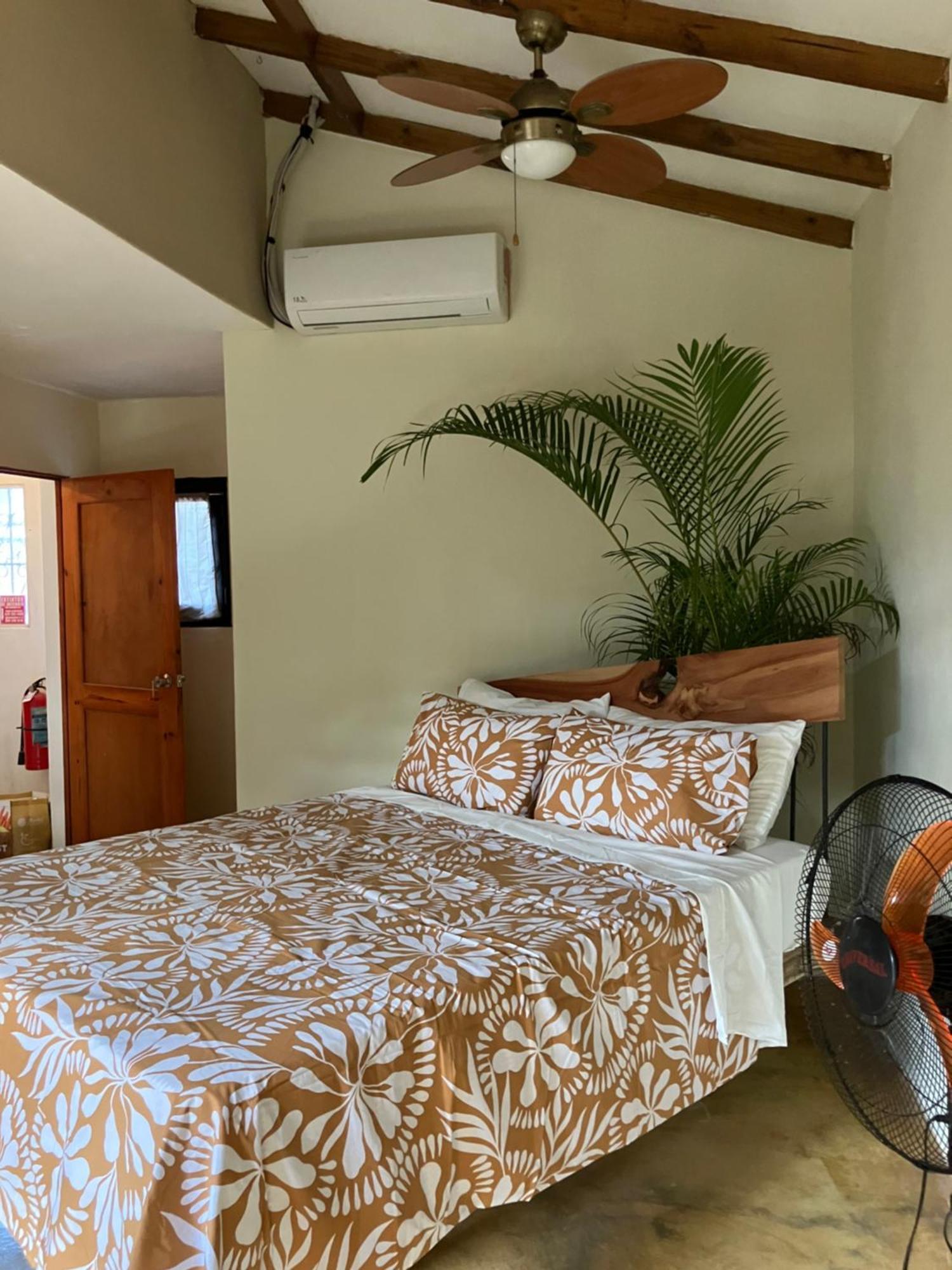 Yes Papa! Rooms Only 100M From The Beach! Las Galeras Exterior foto
